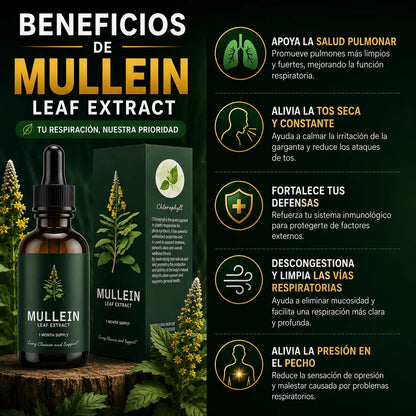 Mullein - Respira mejor