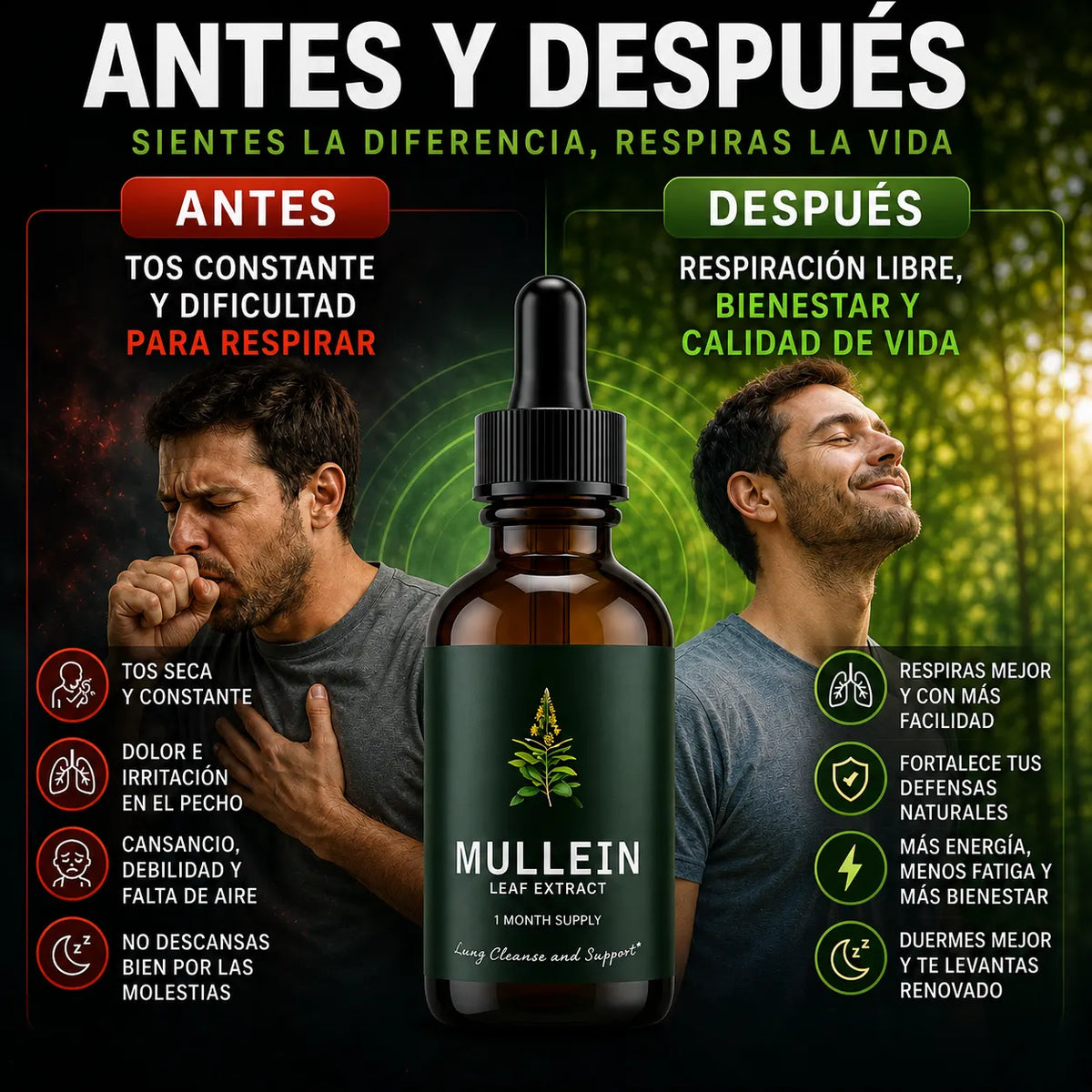 Mullein - Respira mejor